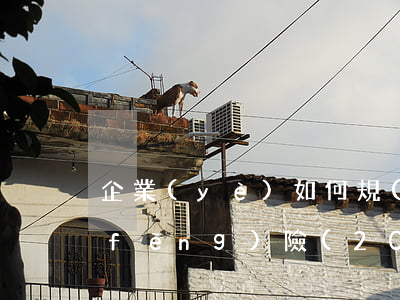企業(yè)如何規(guī)避用工風(fēng)險(20條)？